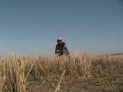 Kyle Pickering and Bobby McDowell walking across Canada Kyle Pickering and Bobby McDowell walking across Canada