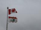 Kyle Pickering and Bobby McDowell walking across Canada Kyle Pickering and Bobby McDowell walking across Canada