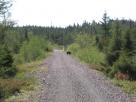 Kyle Pickering and Bobby McDowell walking across Canada Kyle Pickering and Bobby McDowell walking across Canada
