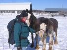 Kyle Pickering and Bobby McDowell walking across Canada Kyle Pickering and Bobby McDowell walking across Canada